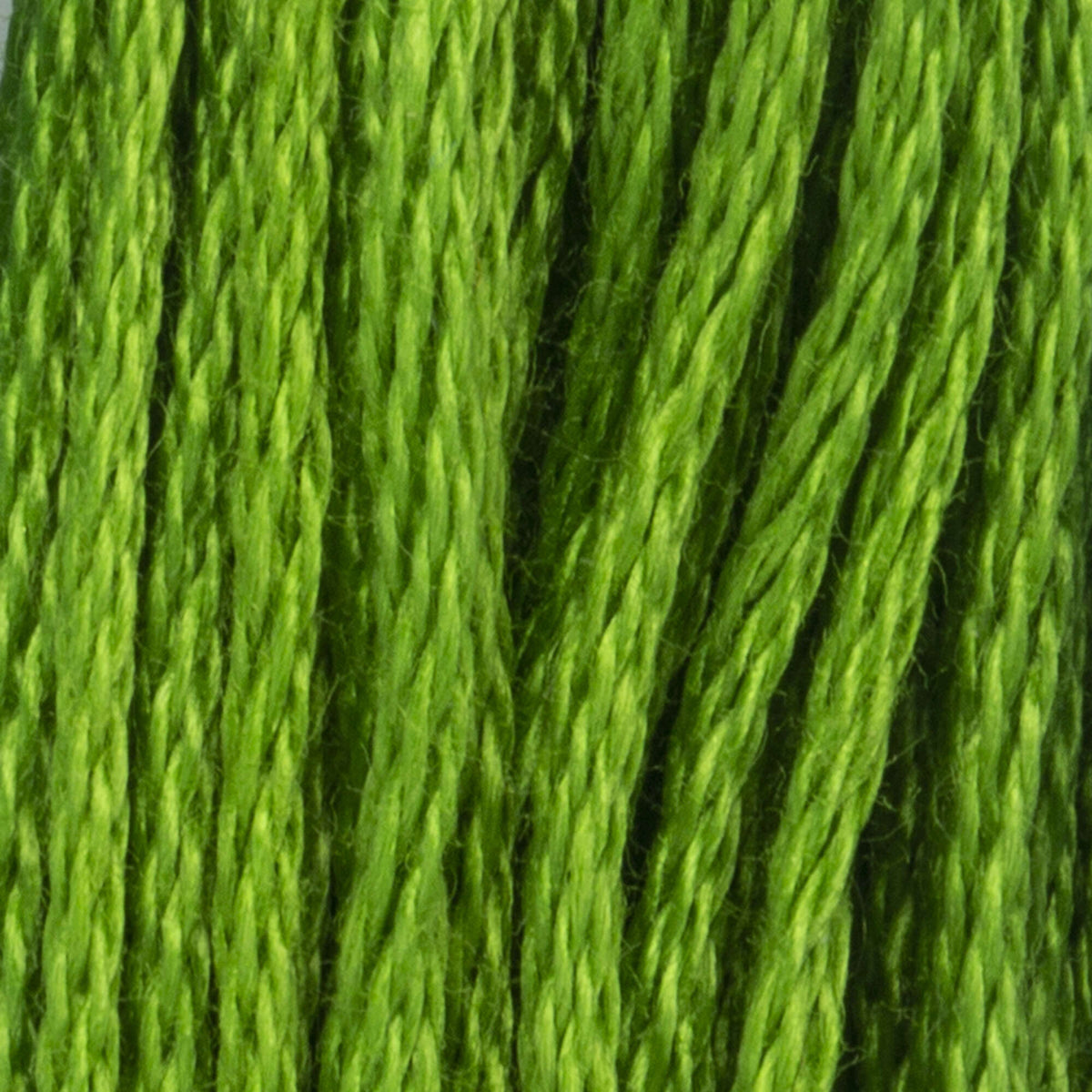 256