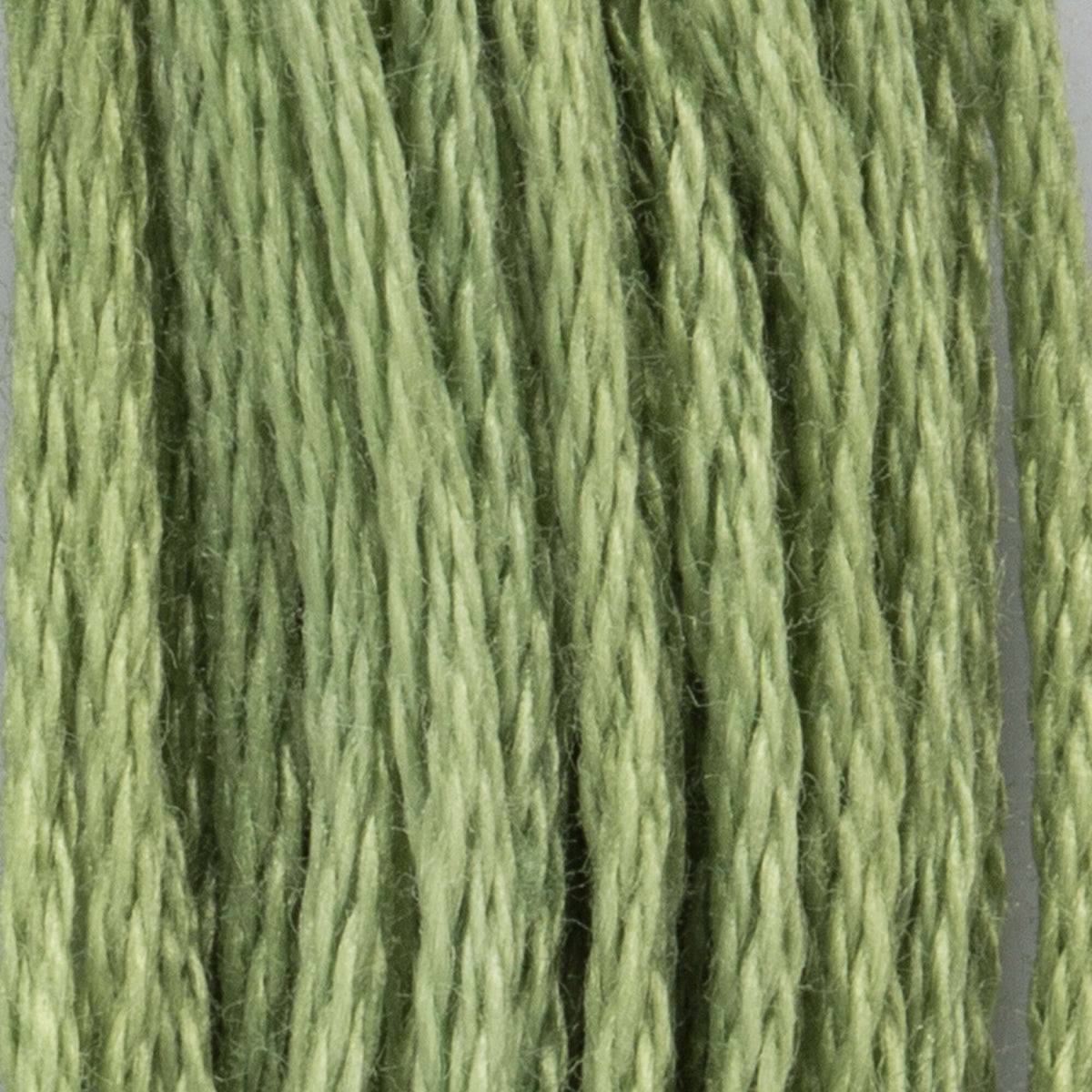 261
