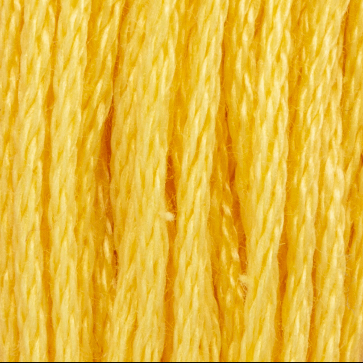 305