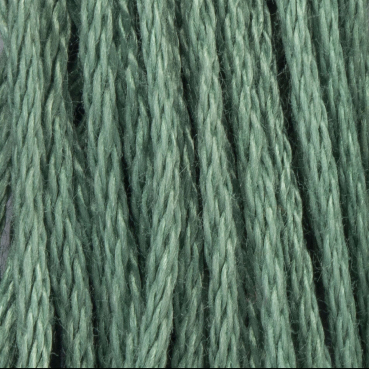 876