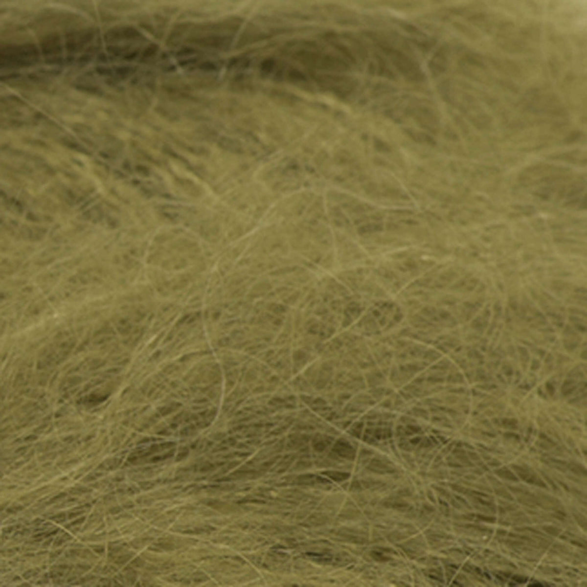 Moss