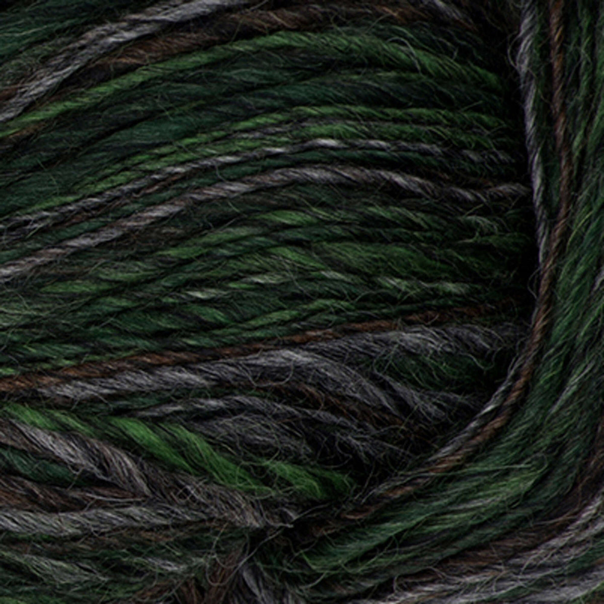 Flecks of Forest