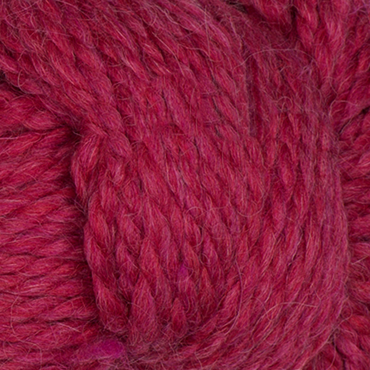 Darling Dahlia