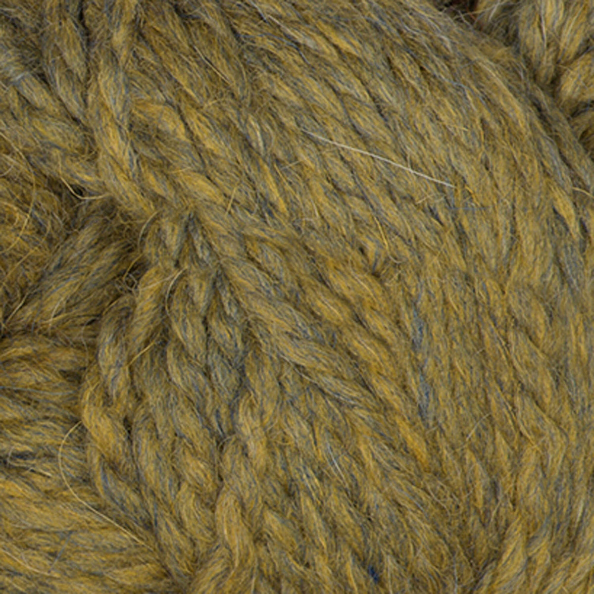 Wild Willow