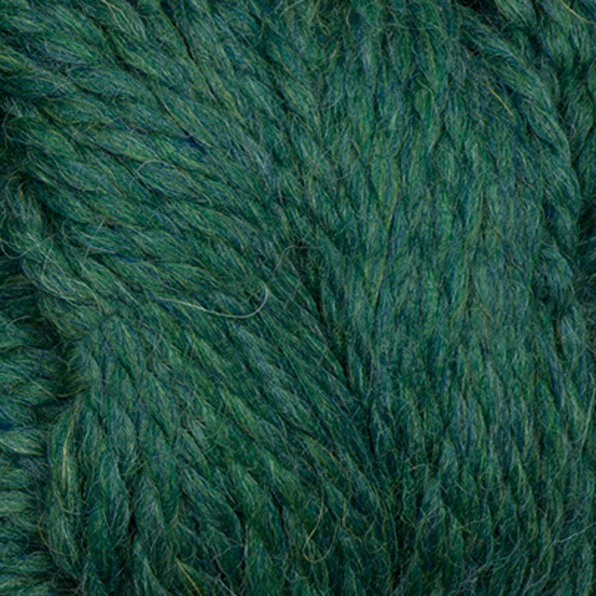 Teal Trails