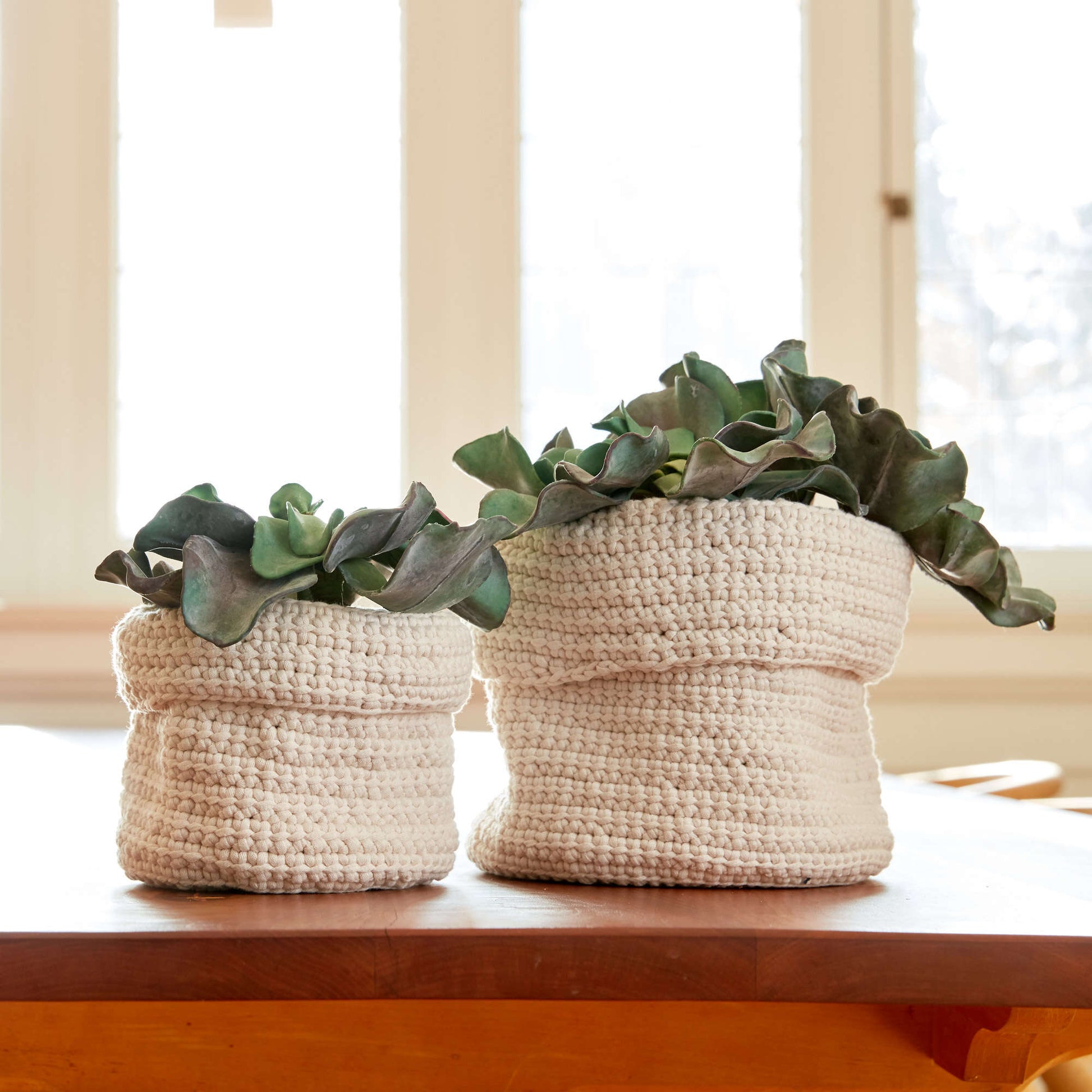 Free Bernat Slouchy Crochet Plant Holders Pattern