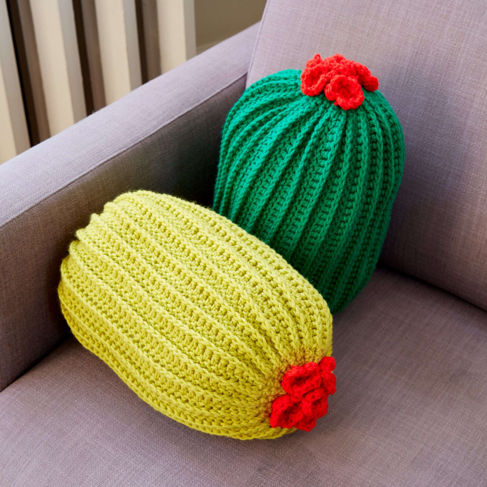 Free Bernat Crochet Cactus Pillow Pattern