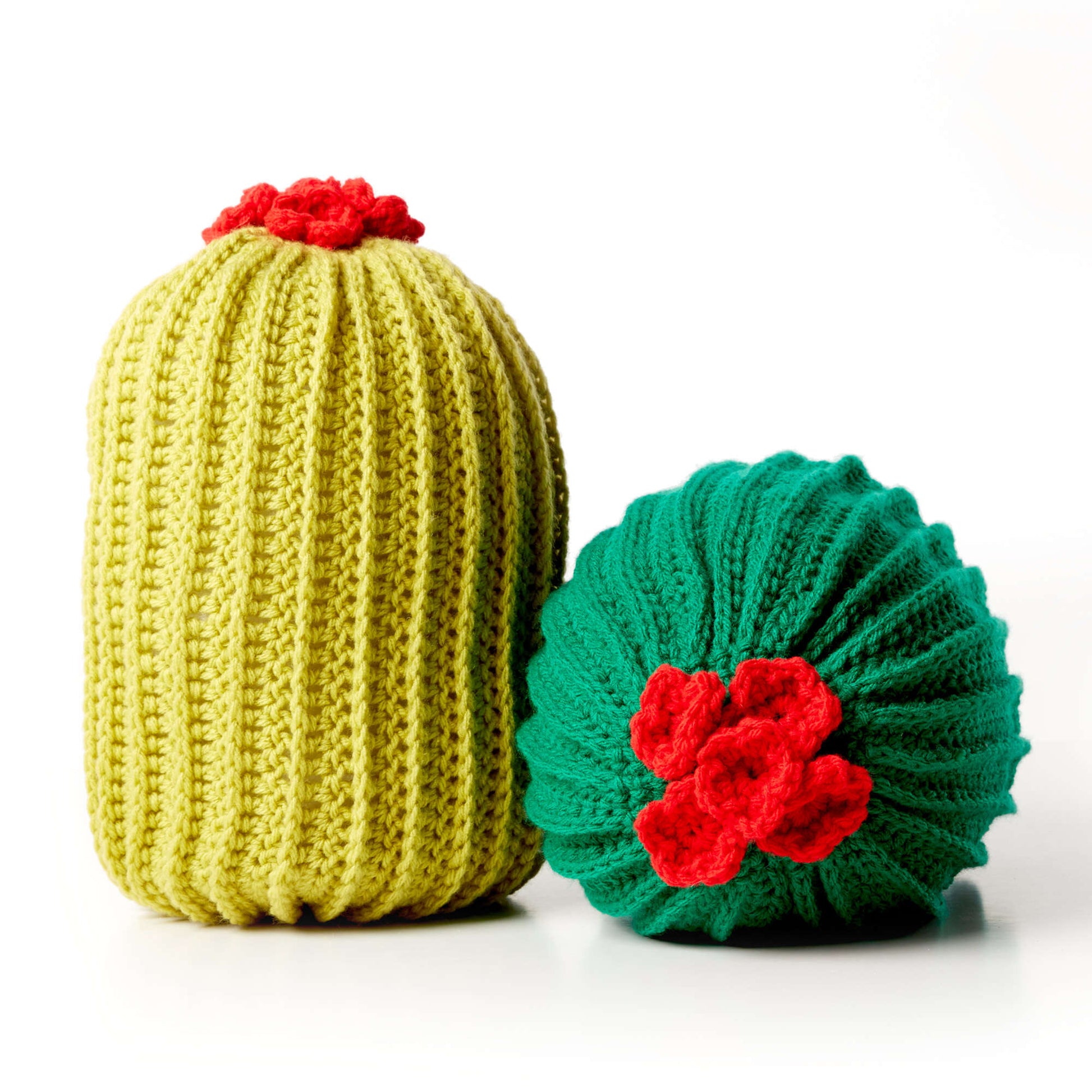 Free Bernat Crochet Cactus Pillow Pattern