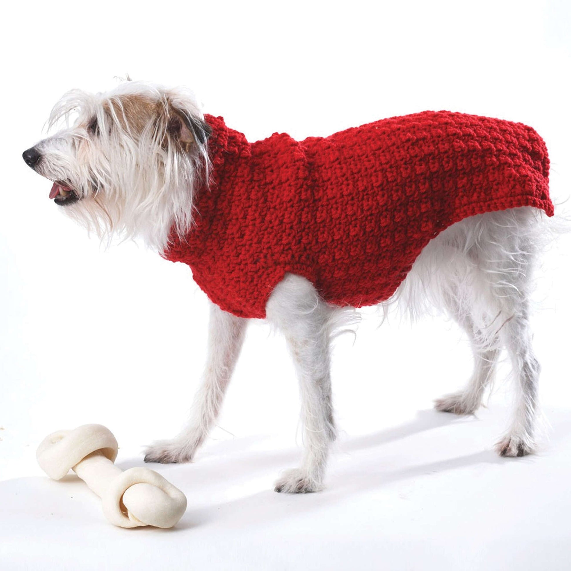Free Bernat Crochet Dog Coat Pattern