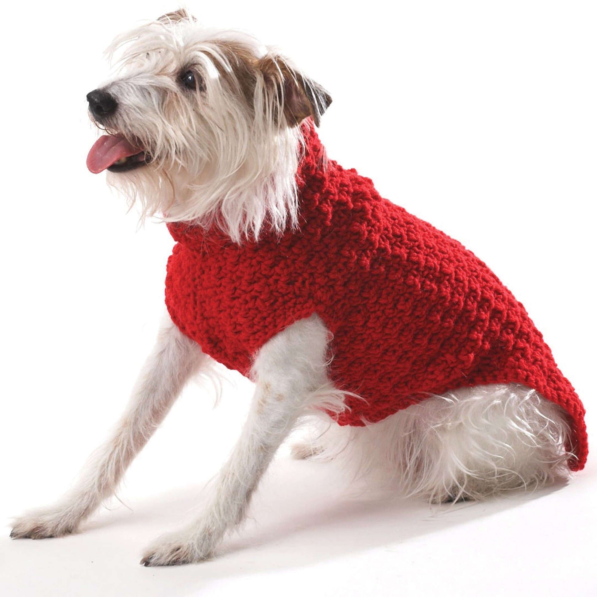 Free Bernat Crochet Dog Coat Pattern