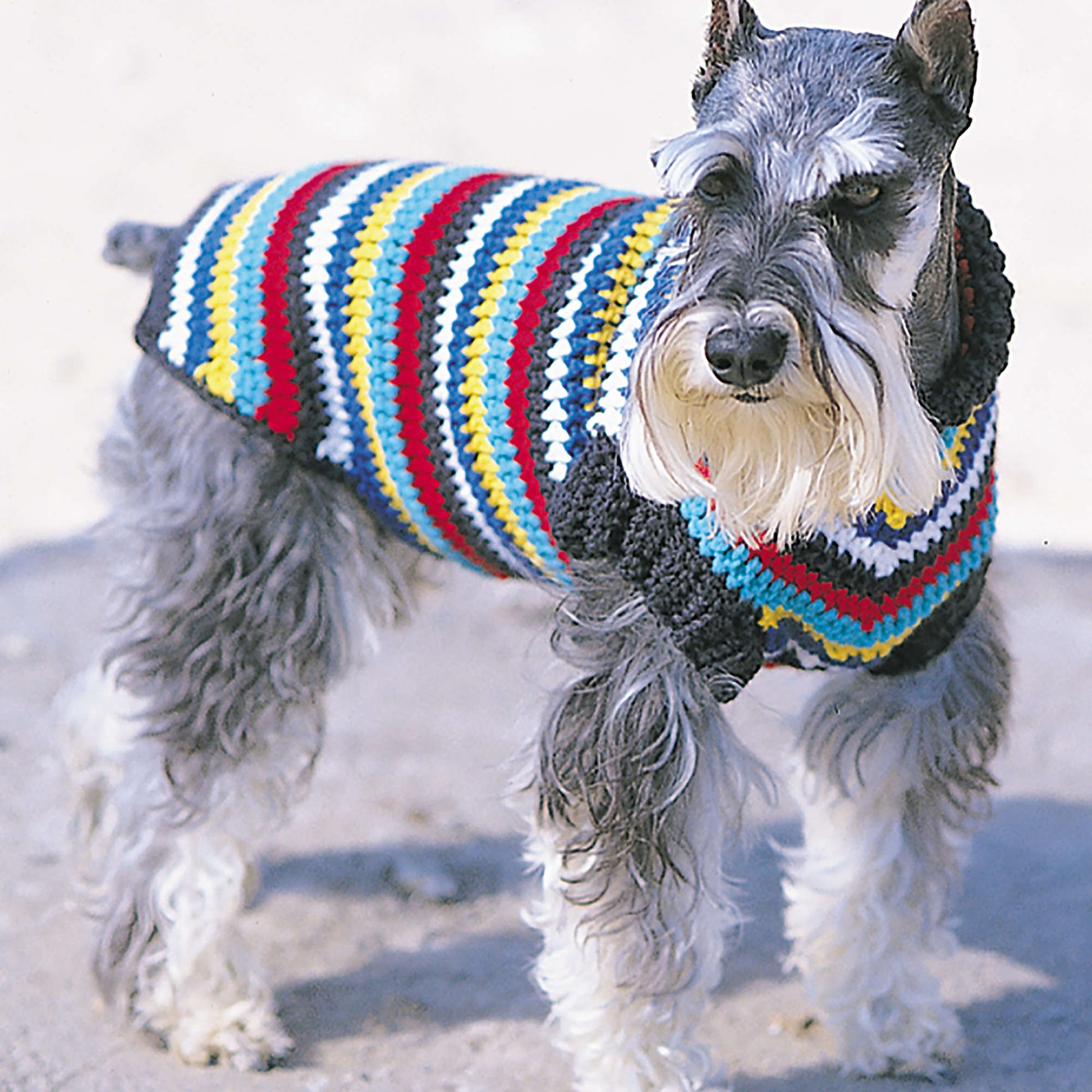 Free Bernat Striped Crochet Dog Coat Pattern
