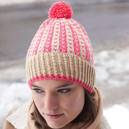 Bernat Winter Weekend Hat Knit Knit Hat made in Bernat Super Value yarn
