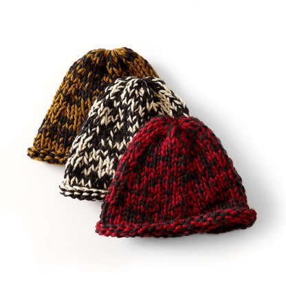 Bernat Raised Beanie Knit Knit Hat made in Bernat Softee Chunky yarn