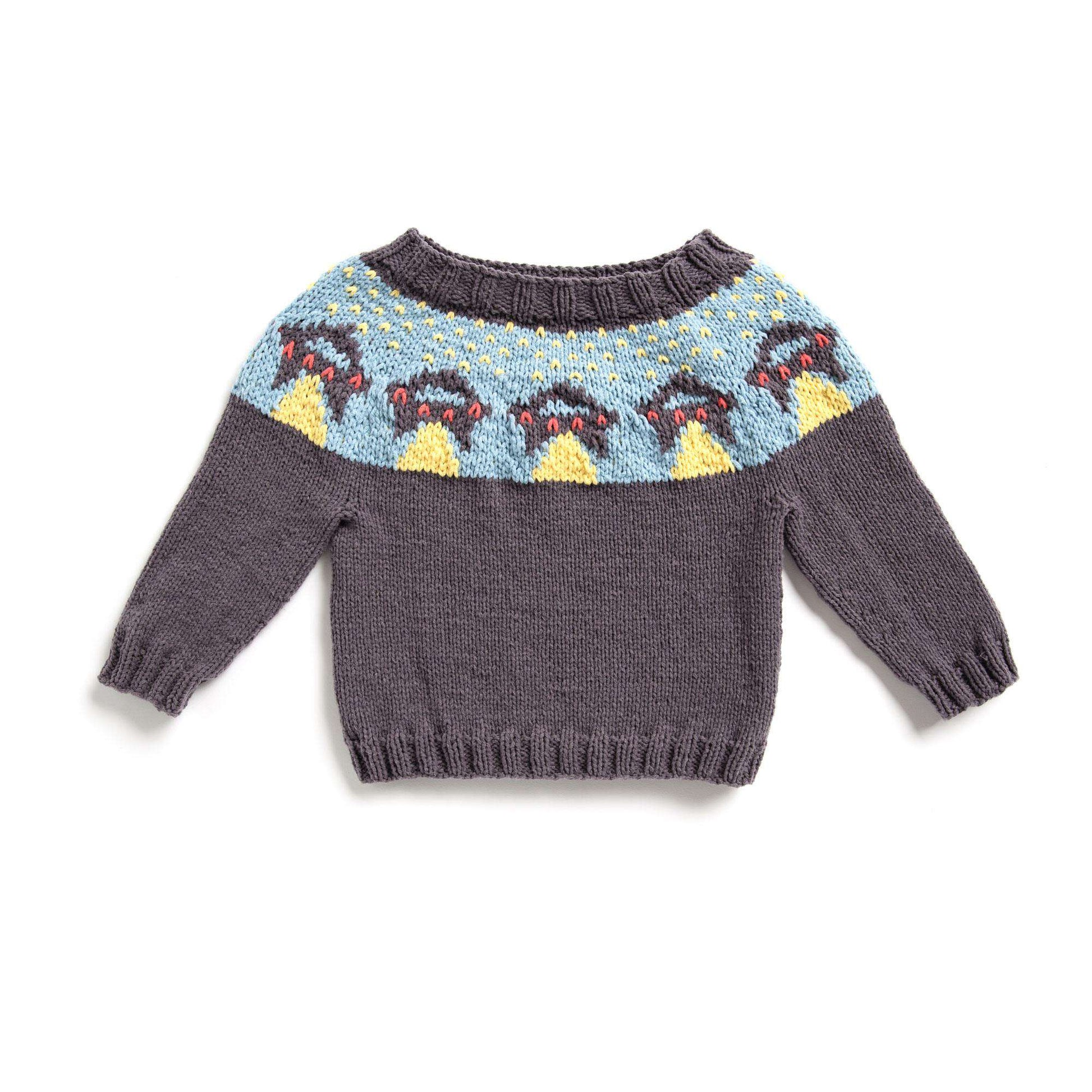 Free Bernat Ufo Yoke Knit Sweater Pattern
