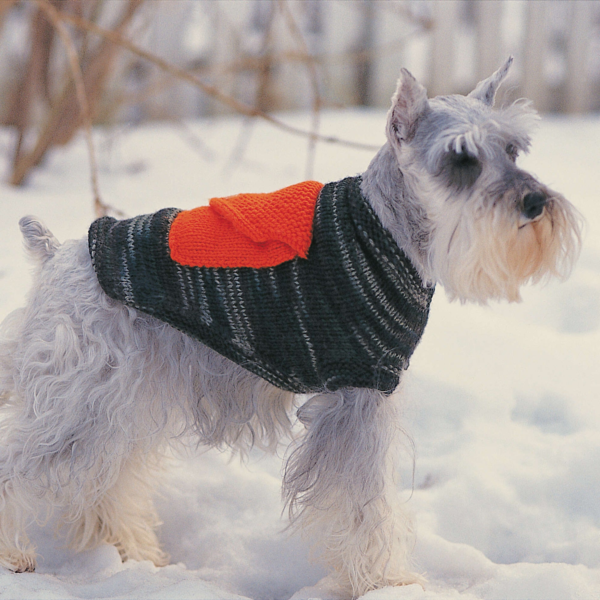 Free Bernat Dog Coat With Cargo Pockets Knit Pattern