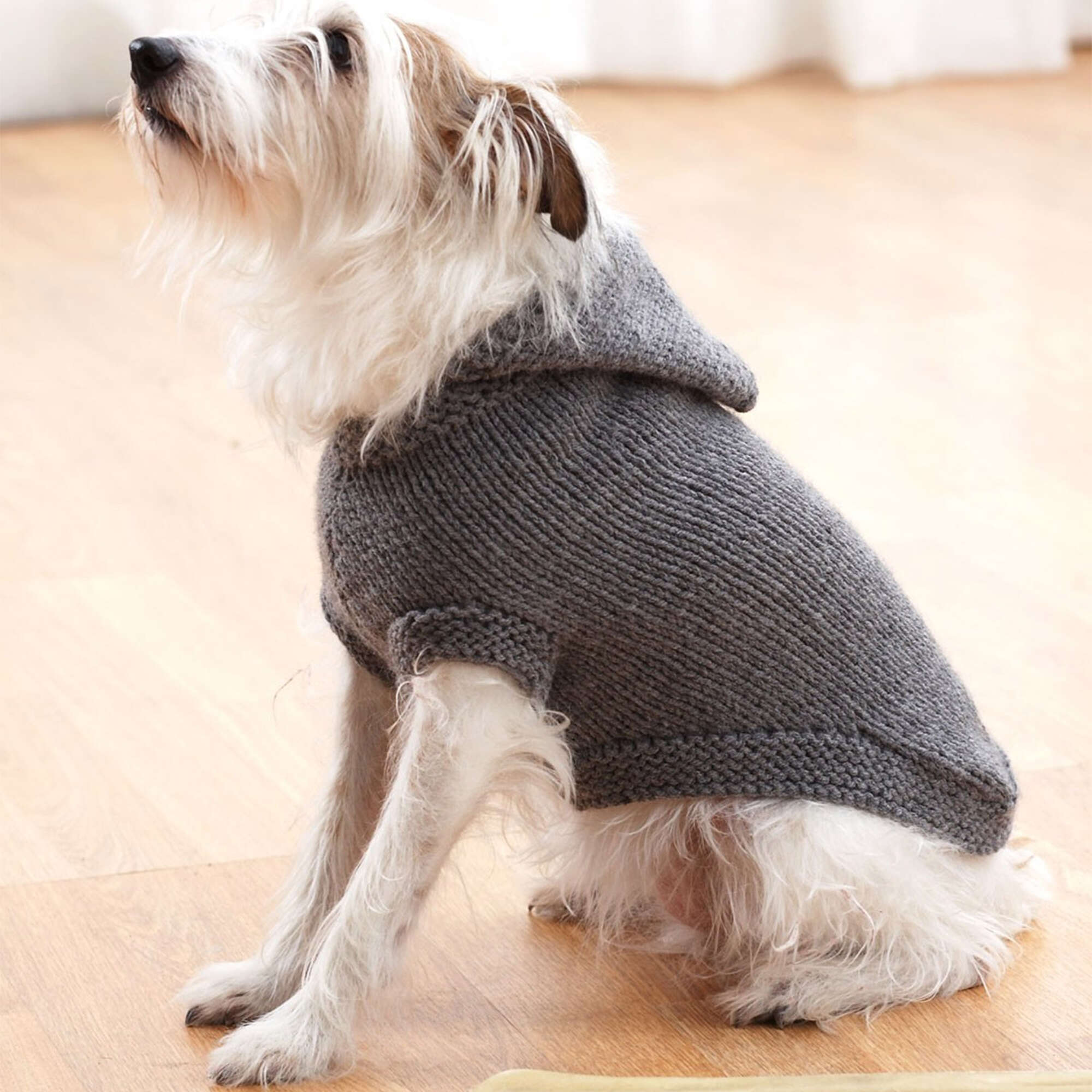 Free Easy Bernat Hoodie Dog Coat Knitting Pattern Yarnspirations