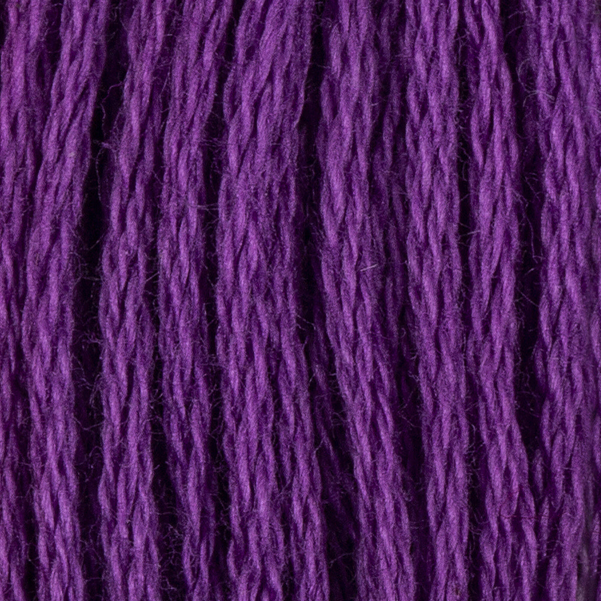 Violet Light