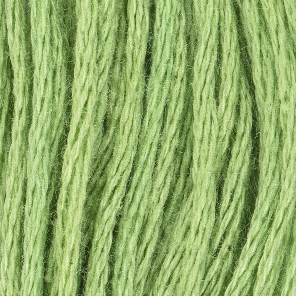 Nile Green Light