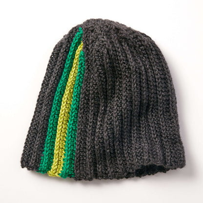Caron Stripes On The Side Hat Crochet Single Size