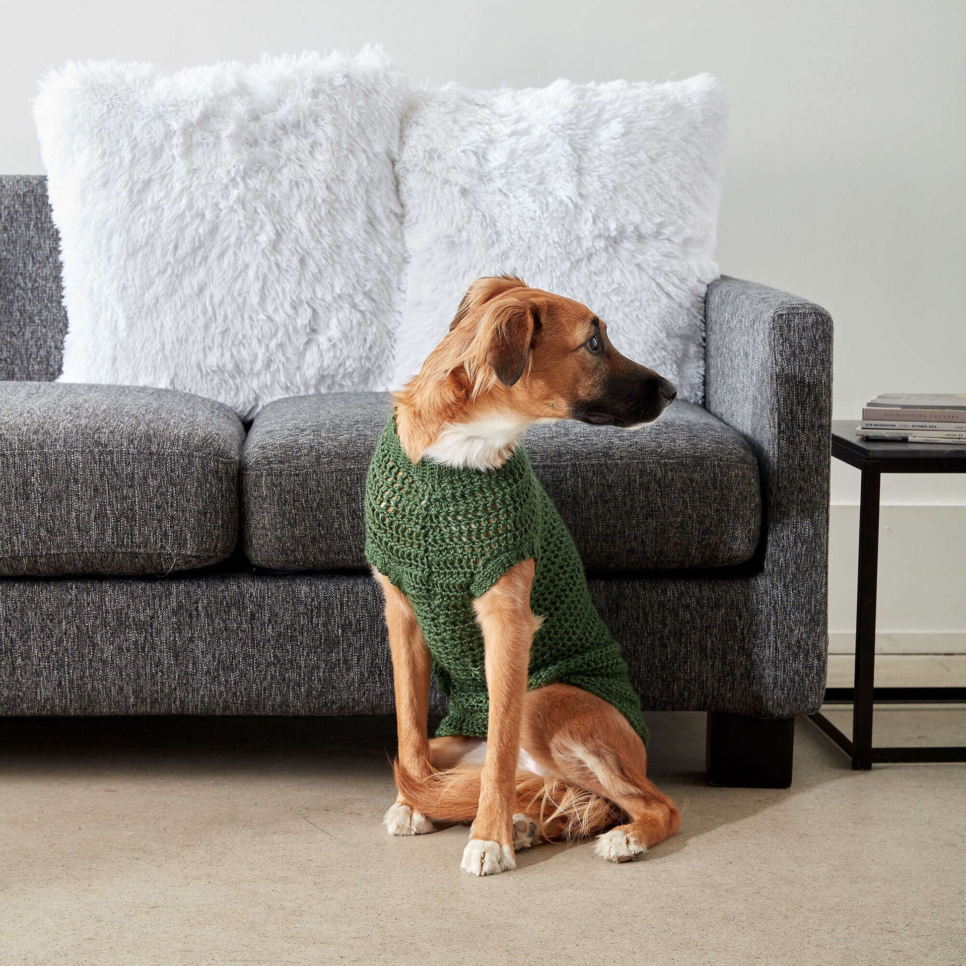 Free Caron Crochet Dapper Pup Sweater Pattern