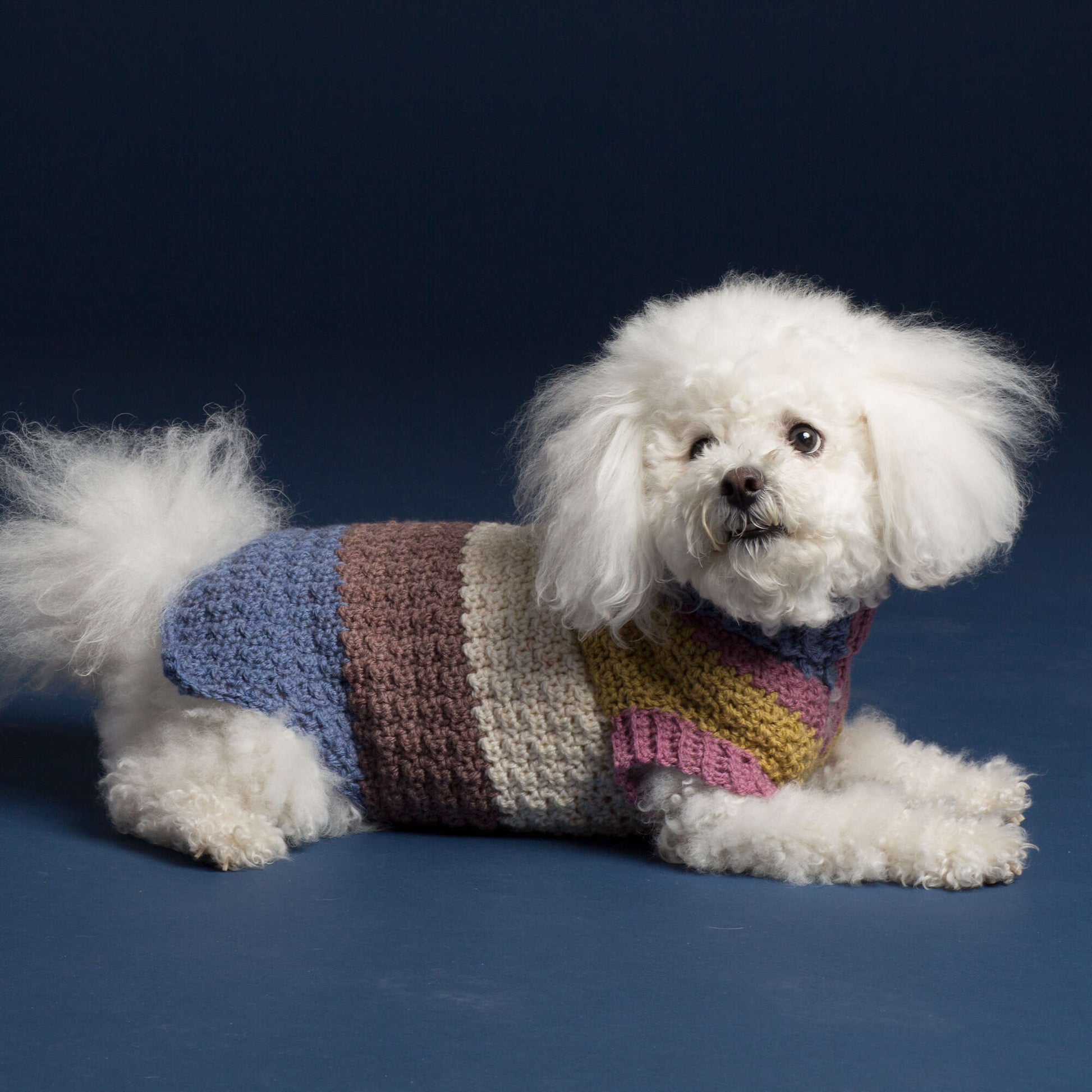 Free Caron Textured Crochet Dog Coat Pattern