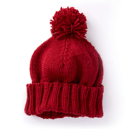 Caron Basic Family Knit Hat Single Size
