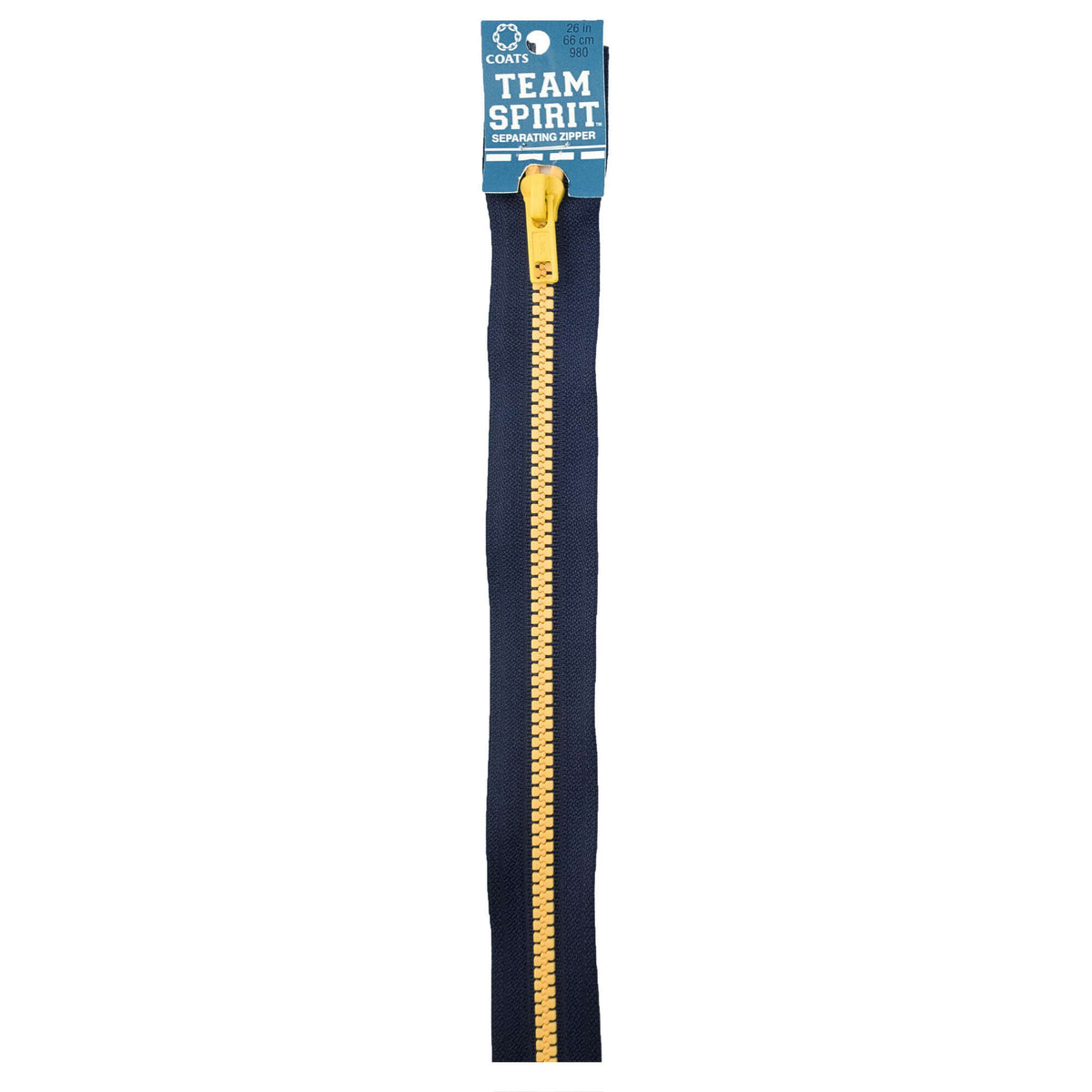 Navy/Gold
