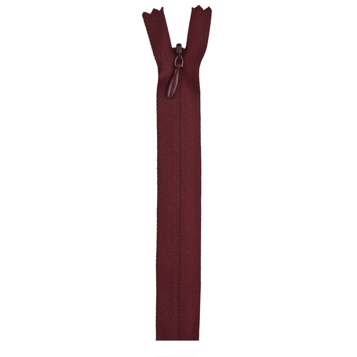 Barberry Red