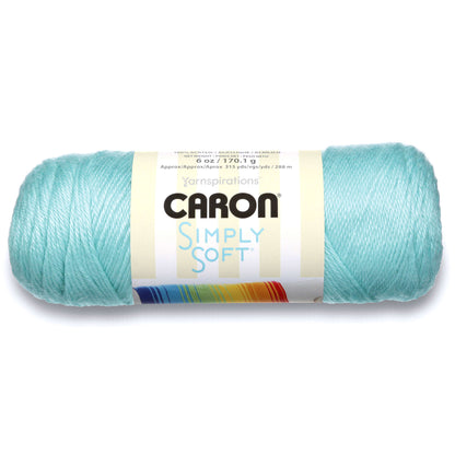 Caron Simply Soft Yarn Robin's Egg