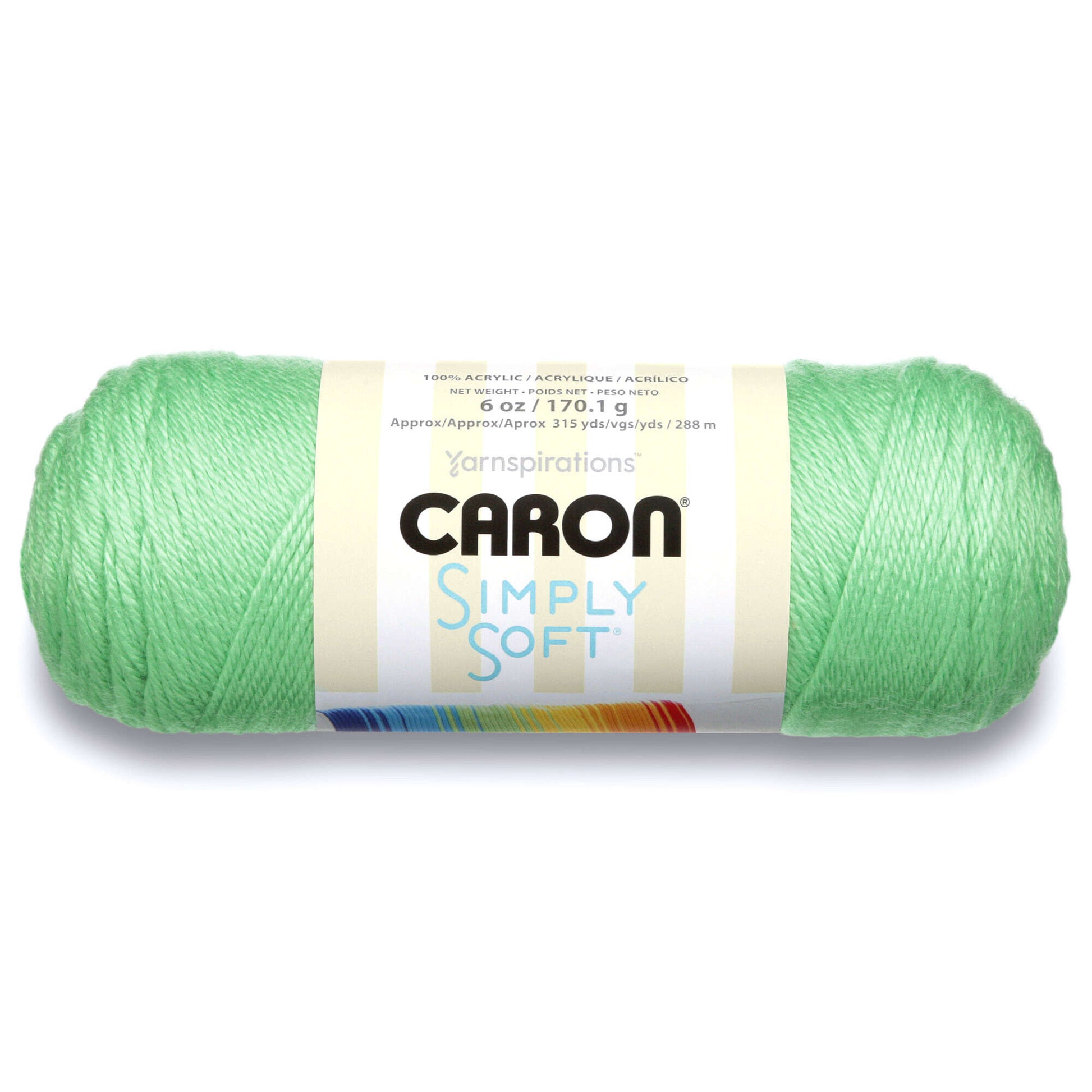Caron Simply Soft Brites Yarn