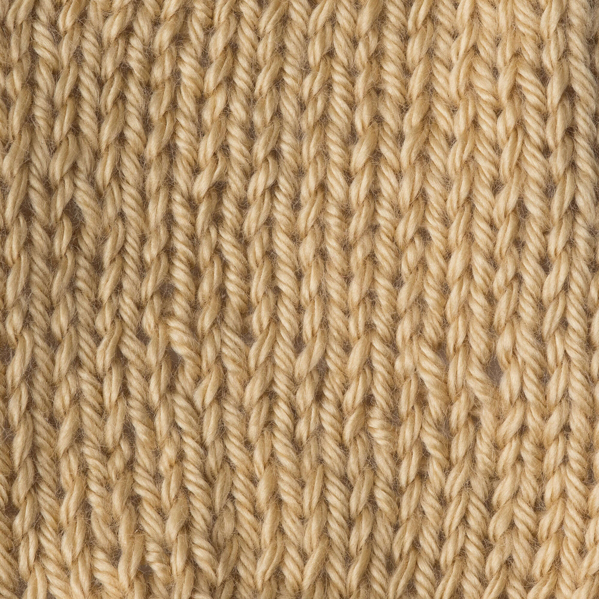 Autumn Maize