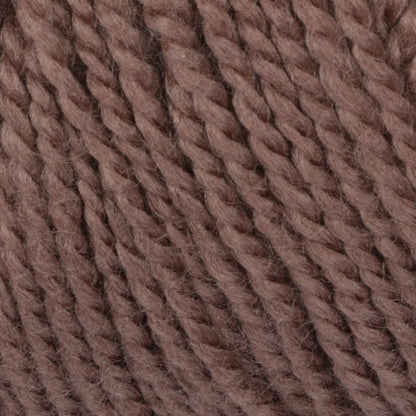 Caron Simply Soft Light Yarn - Discontinued Taupe