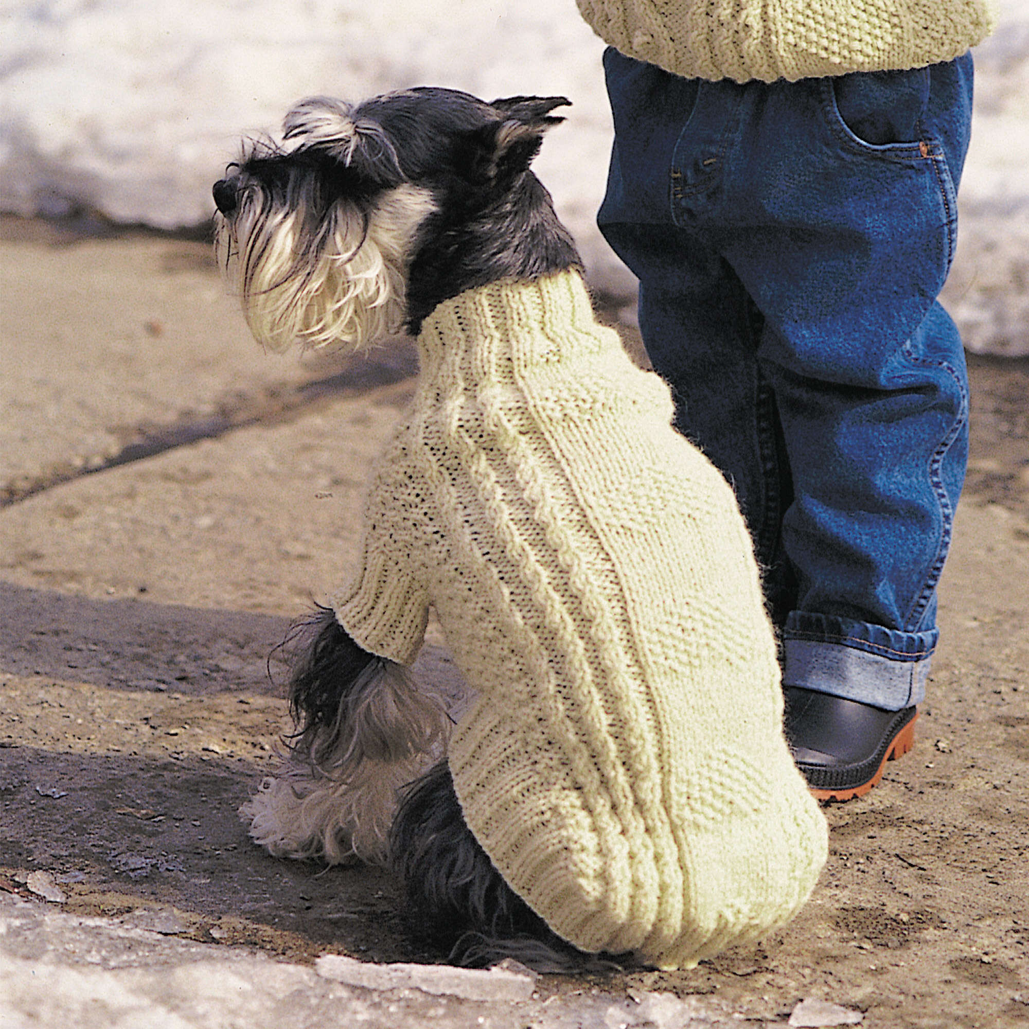 Free Patons Cables & Hearts Dog Coat Knitting Pattern | Yarnspirations