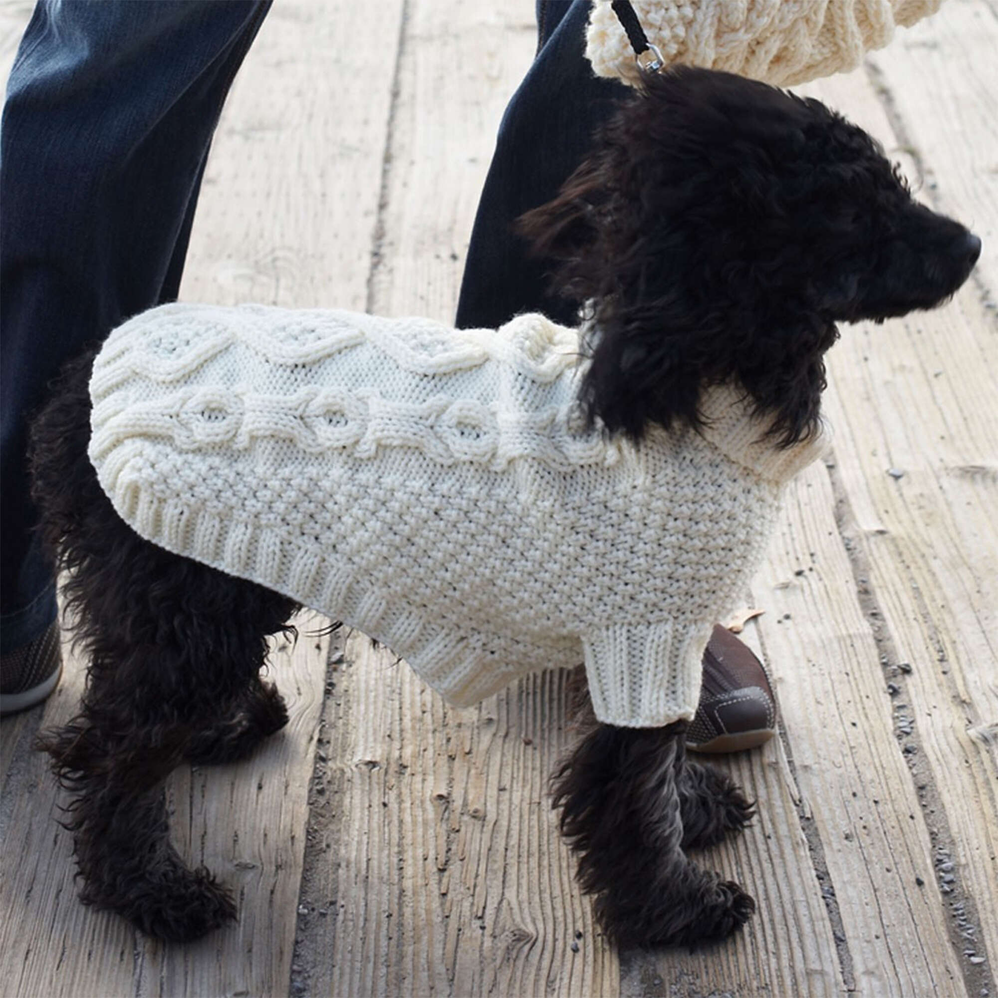 Free Patons Biscuits & Bones Dog Coat Knitting Pattern | Yarnspirations
