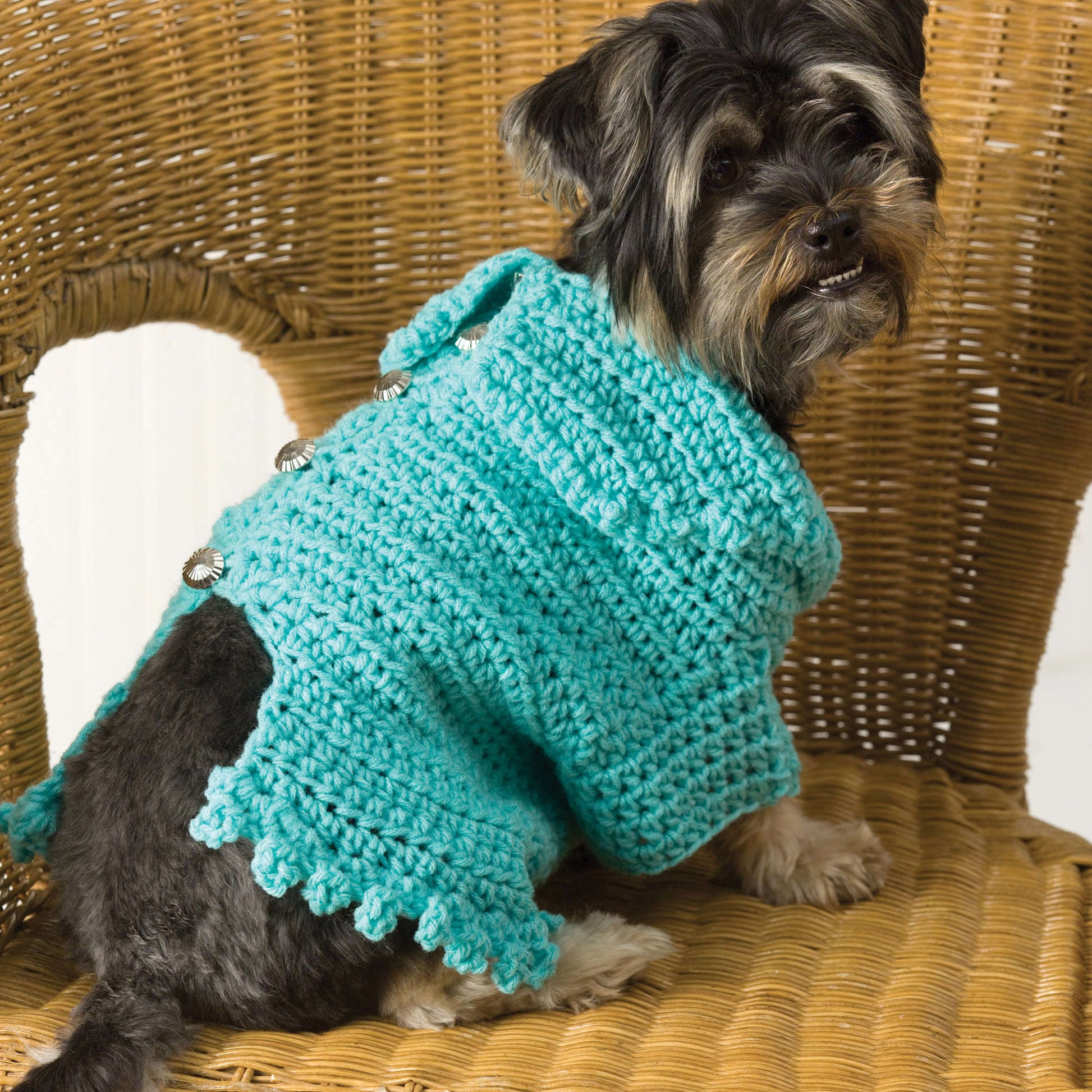 Free Red Heart Doggie Snuggle-Up Sweater Crochet Pattern