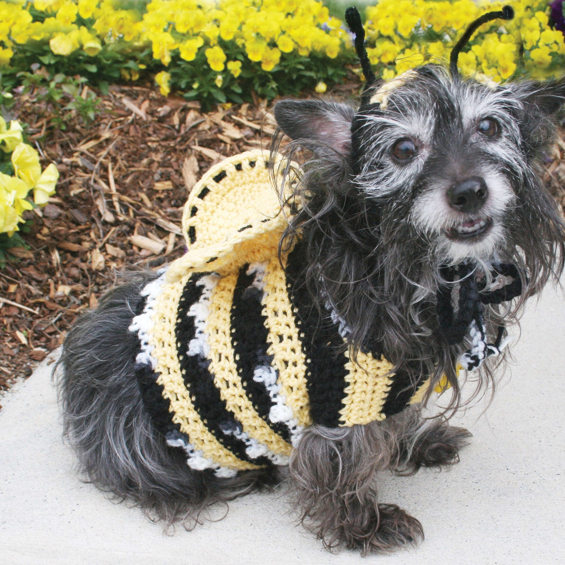 Free Red Heart Dog's Crochet Bumble Bee Costume Pattern