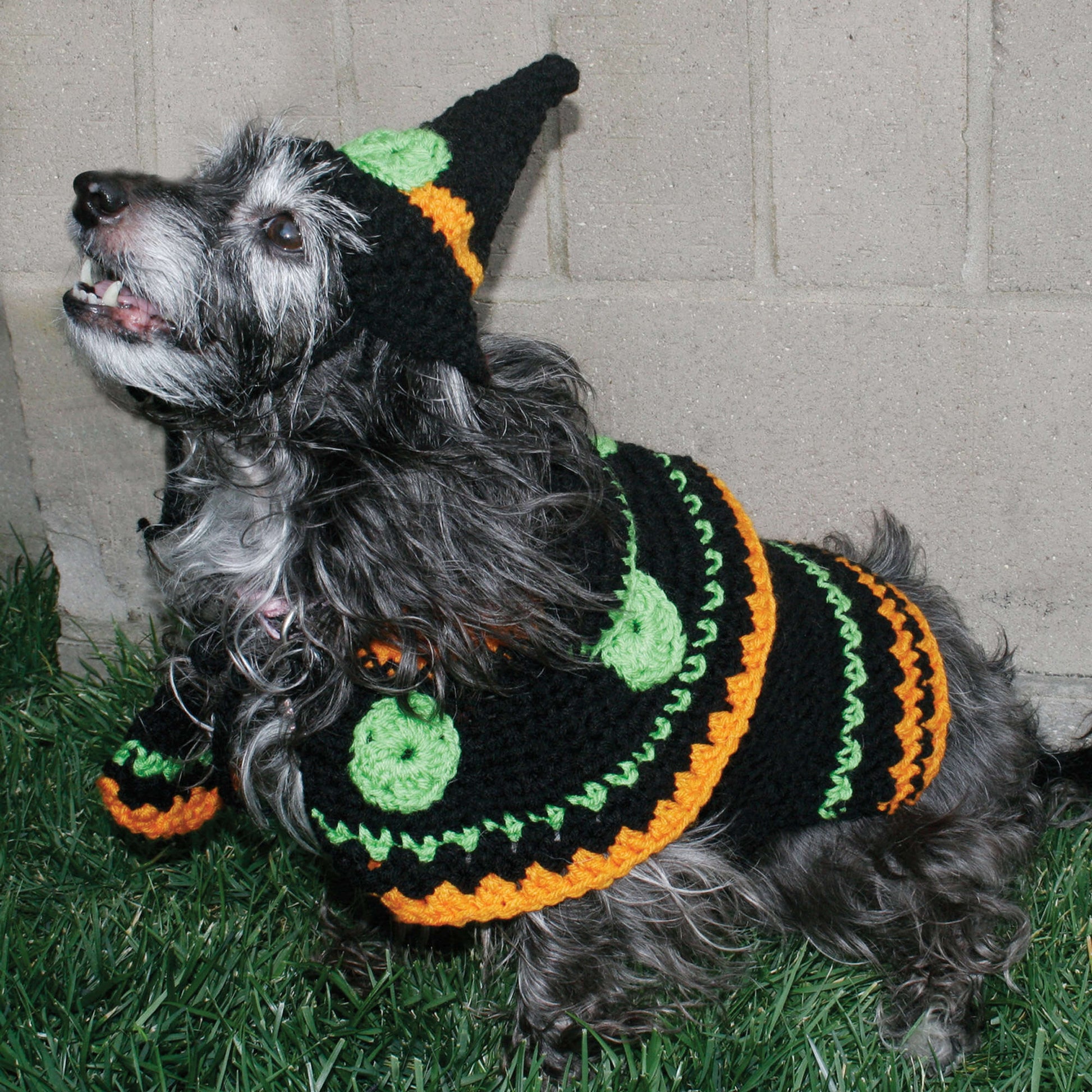 Free Red Heart Dog's Crochet Witch Costume Pattern