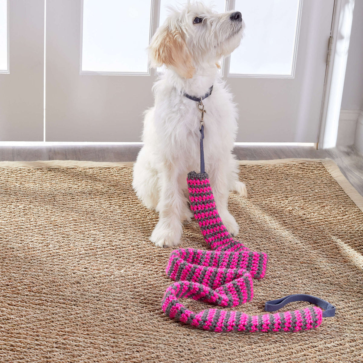 Crochet Dog Leash Cover made in Red Heart Reflective Yarn