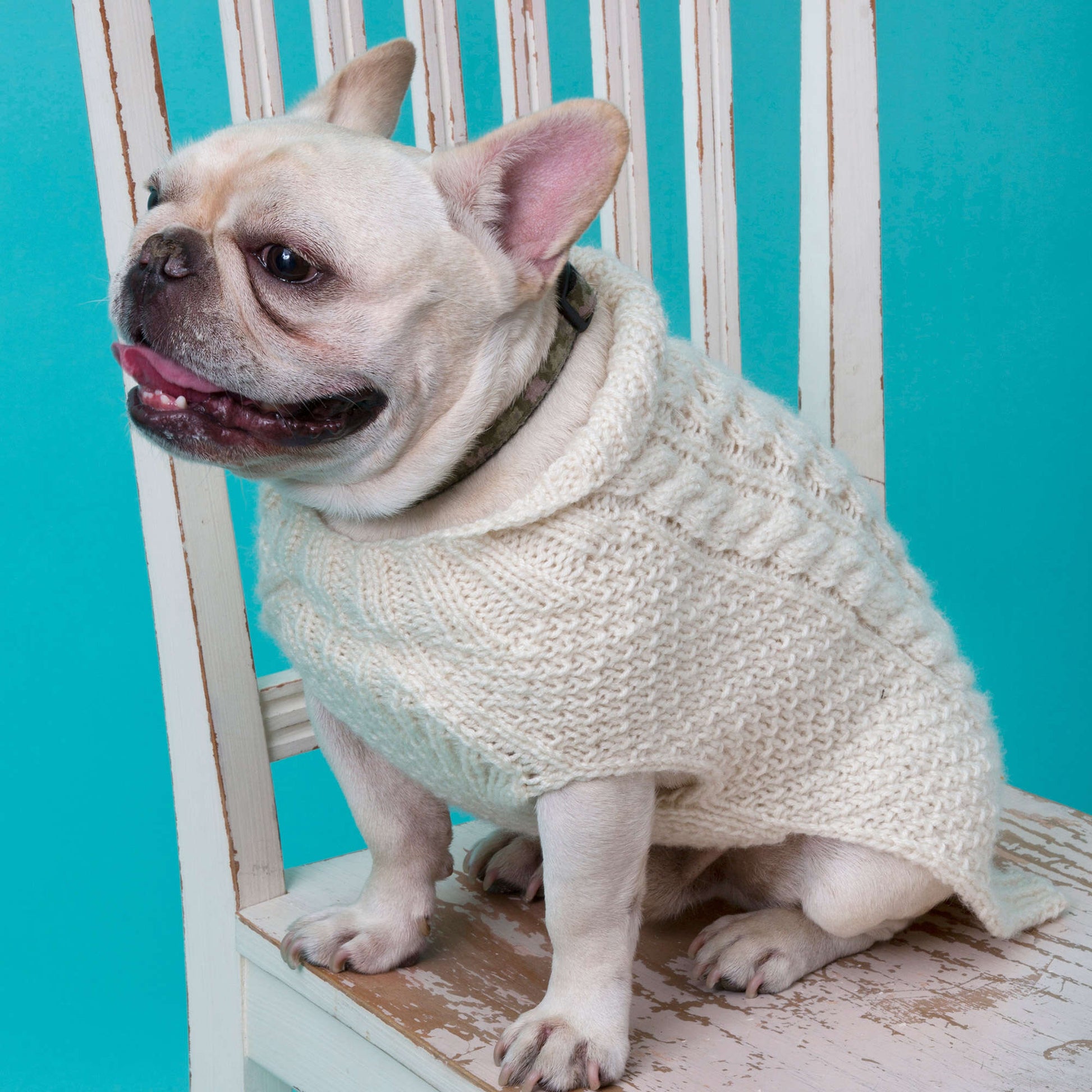 Free Red Heart Cabled Dog Sweater Knit Pattern