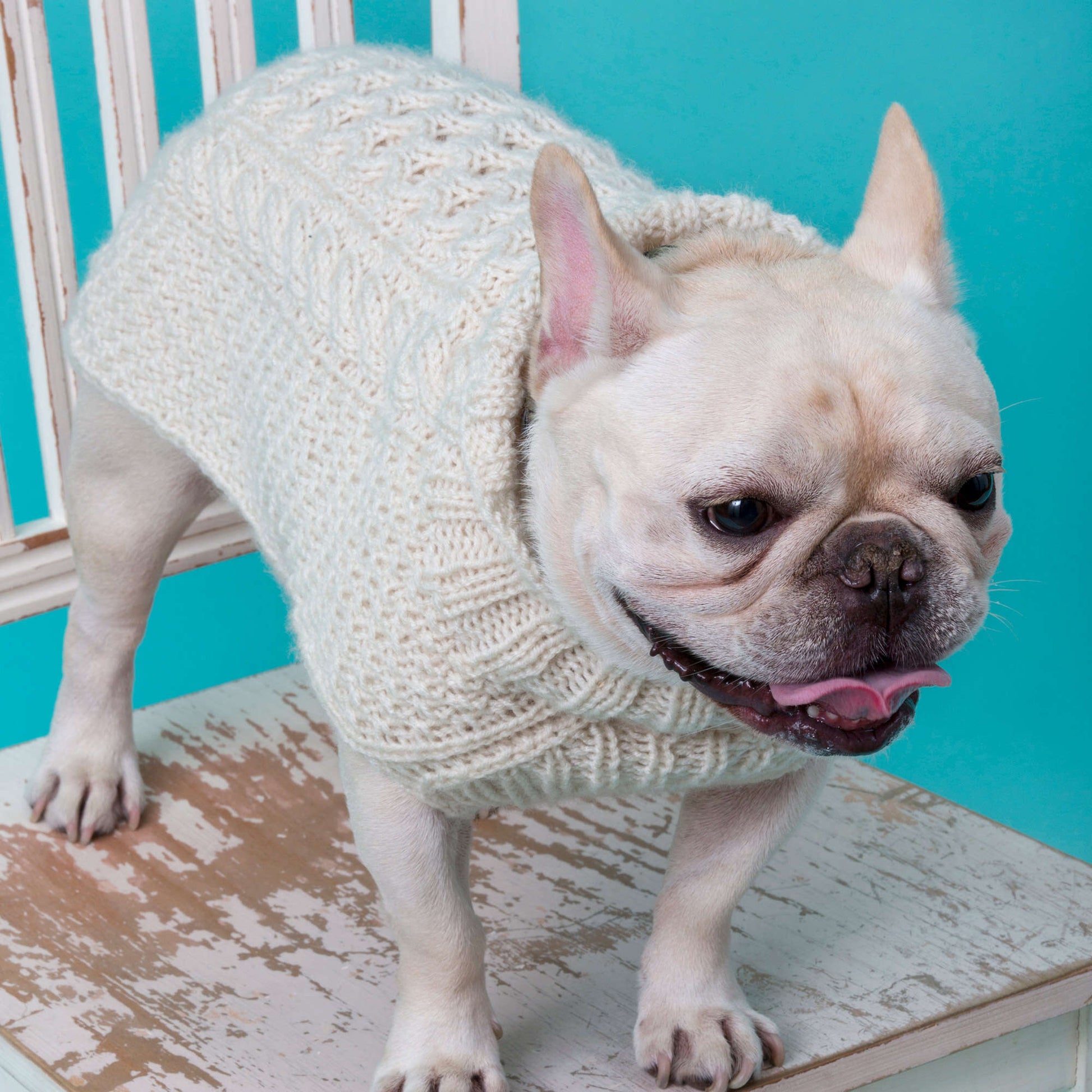 Free Red Heart Cabled Dog Sweater Knit Pattern