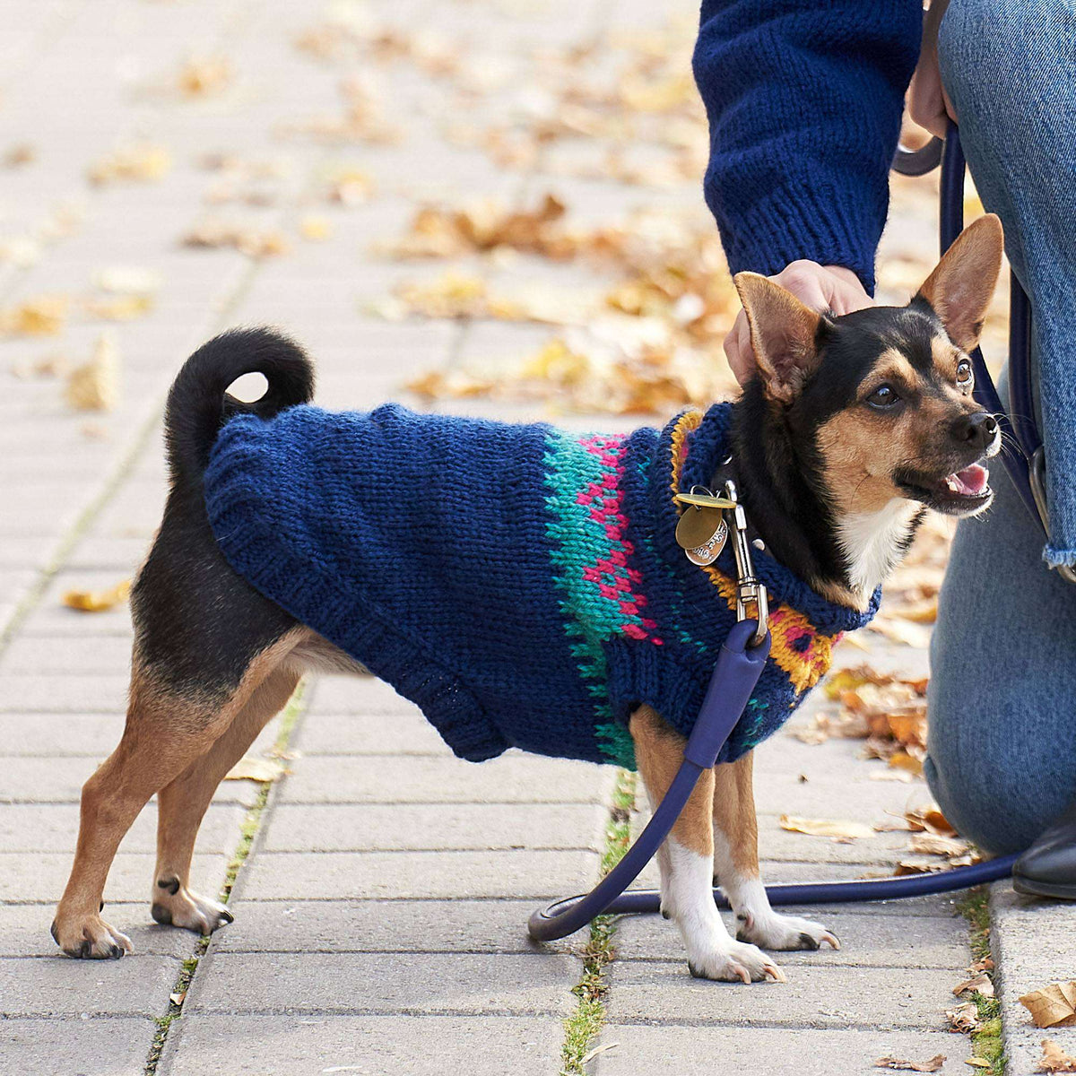 Bestie Yoke Knit Dog Coat made using Red Heart yarn in a styled lifestyle setting