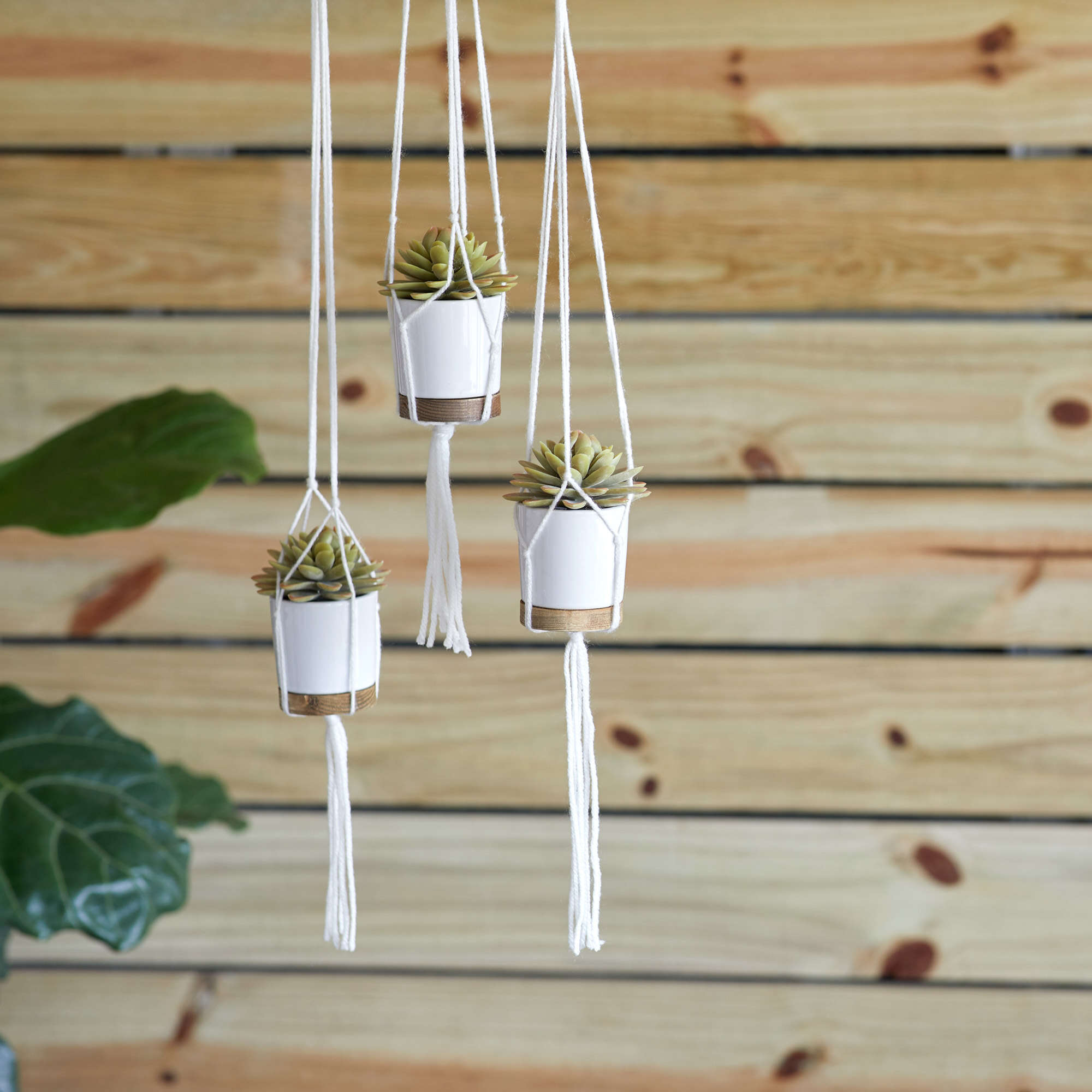 plant hanger with yarn Free Beginner Red Heart Knotted Plant Hangers Craft Pattern