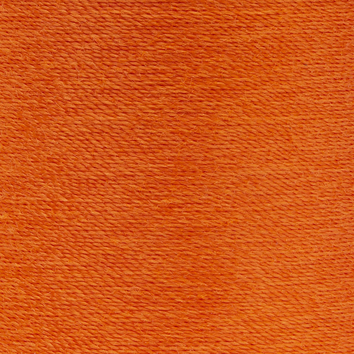 Kumquat
