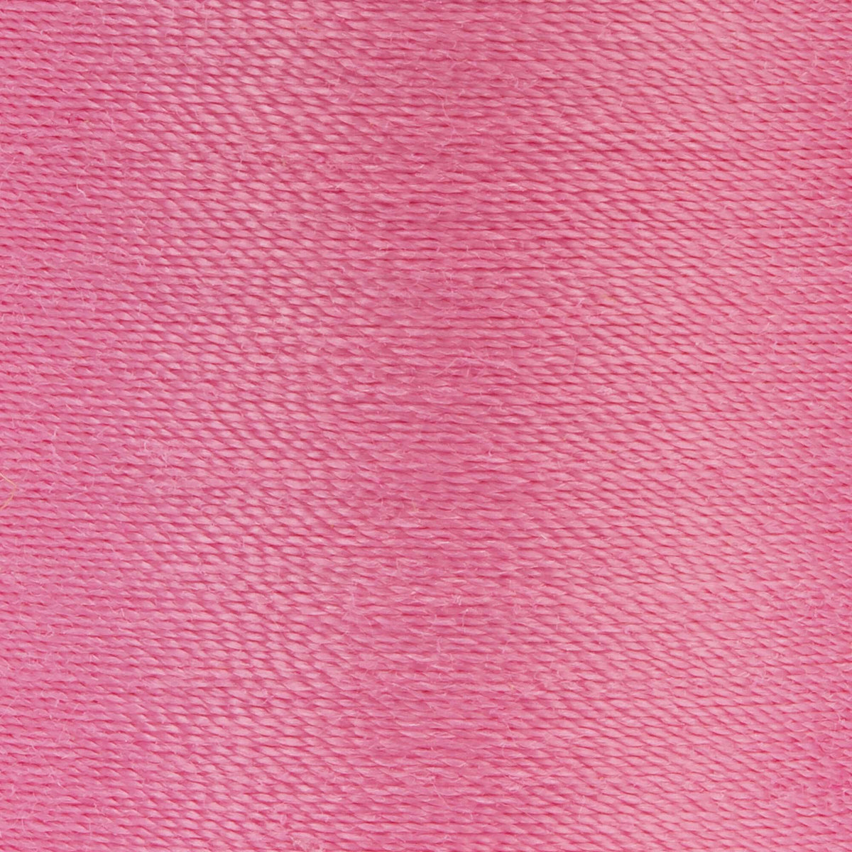 Cotton Candy