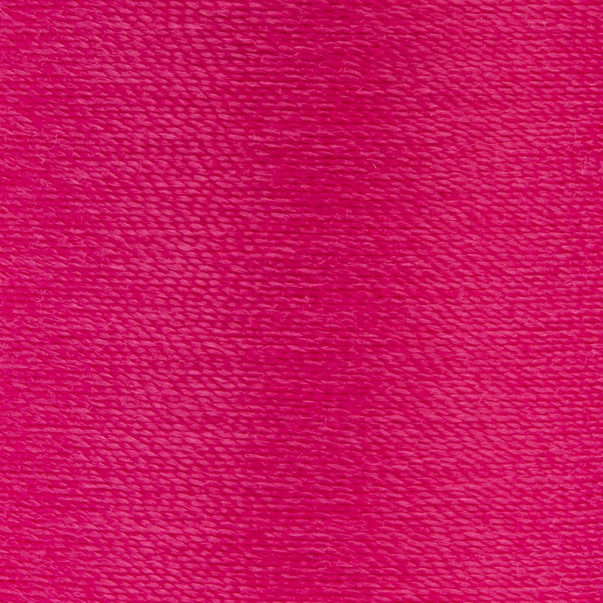 Bright Rose