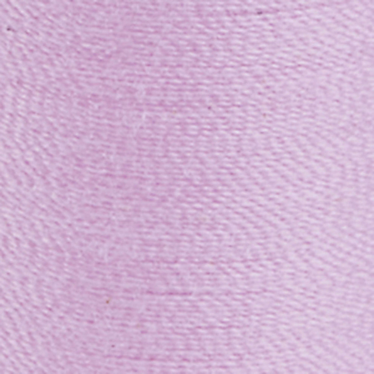 Carnation