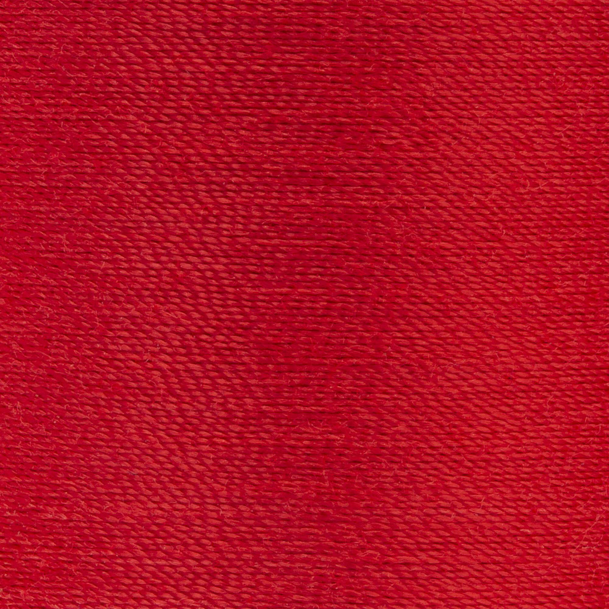 Red Geranium