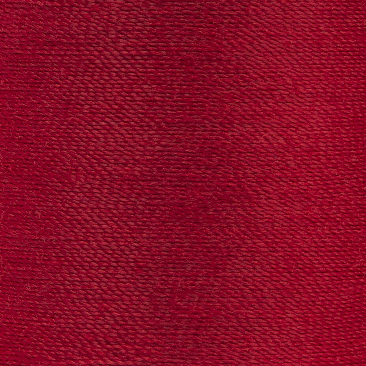 Red Cherry