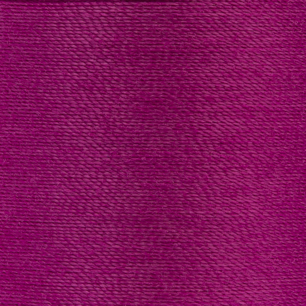 Fuschia