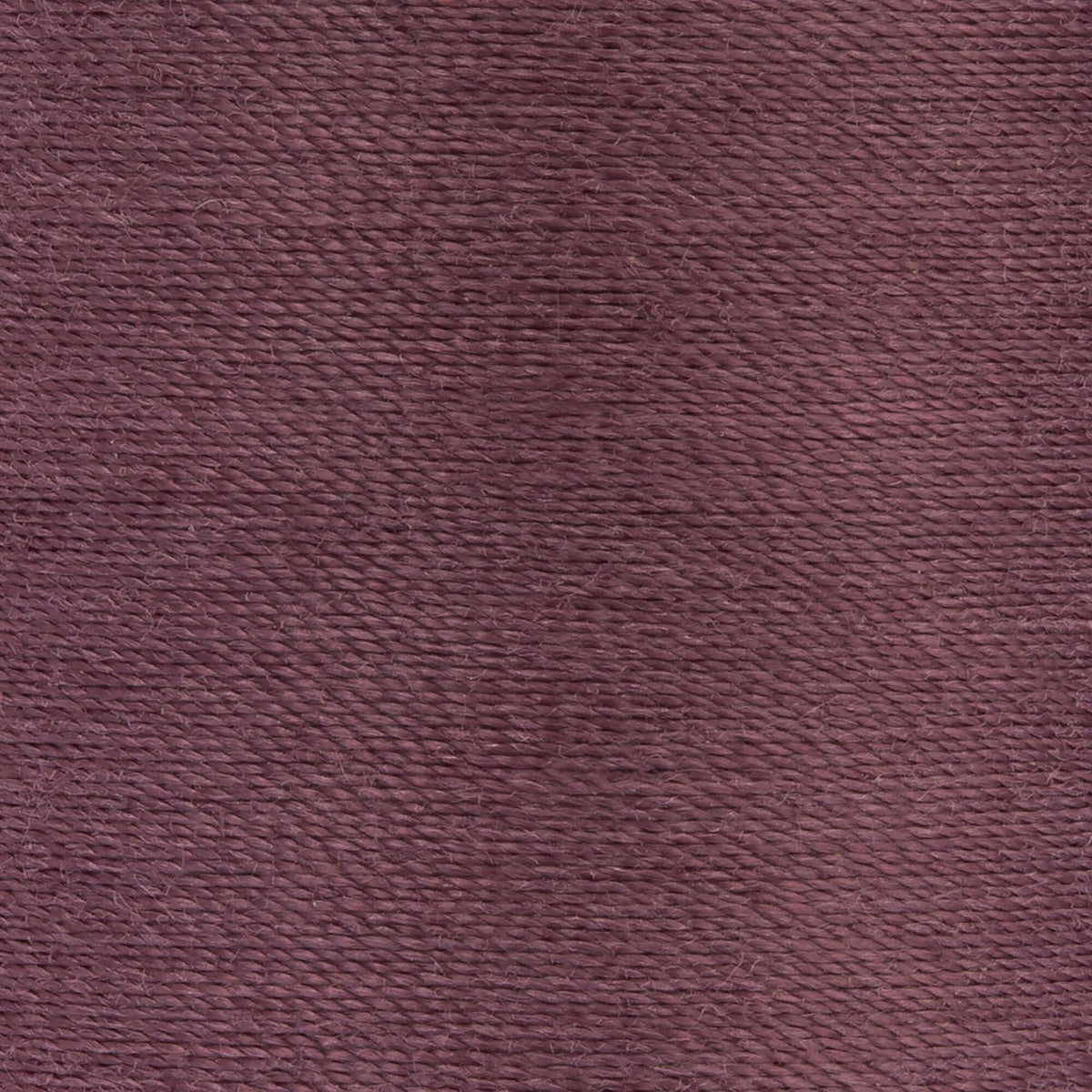 Mocha Plum